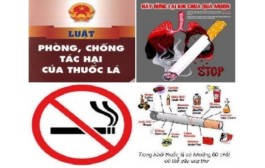 05. PHÒNG CHỐNG TÁC HẠI CỦA THUỐC LÁ