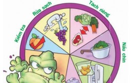TRUYỀN THÔNG 10 NGUYÊN TẮC VỆ SINH AN TOÀN THỰC PHẨM 
