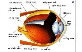 TRUYỀN THÔNG GIÁO DỤC CHĂM SÓC MẮT HỌC ĐƯỜNG 